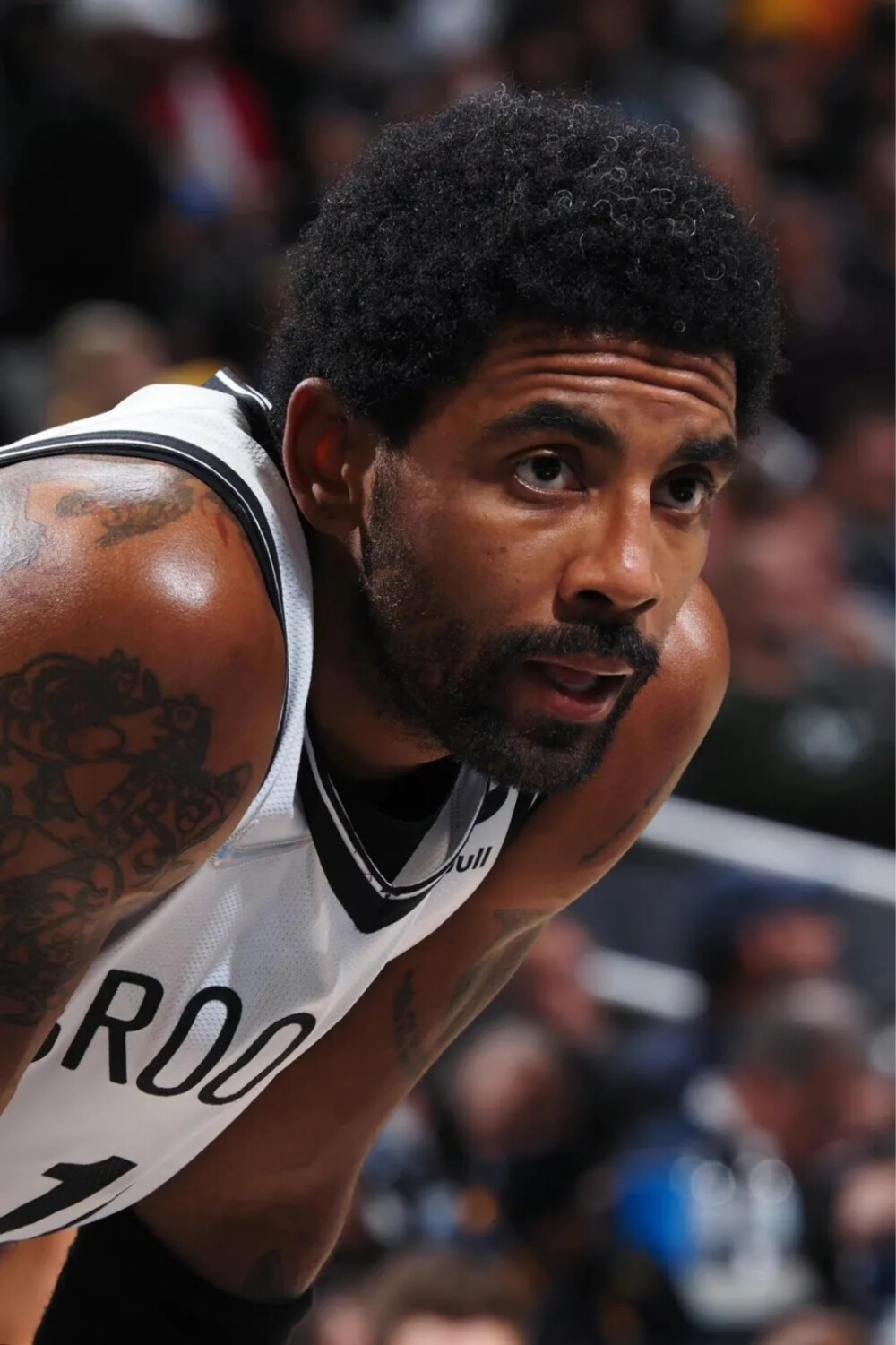 的足坛中 的足坛中