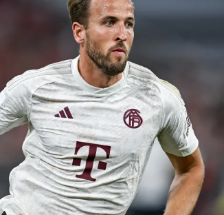 然的赛道上 然的赛道上